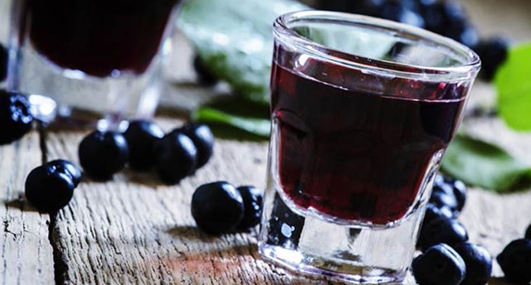 Aronya nedir faydaları nelerdir mor meyveler ve faydaları